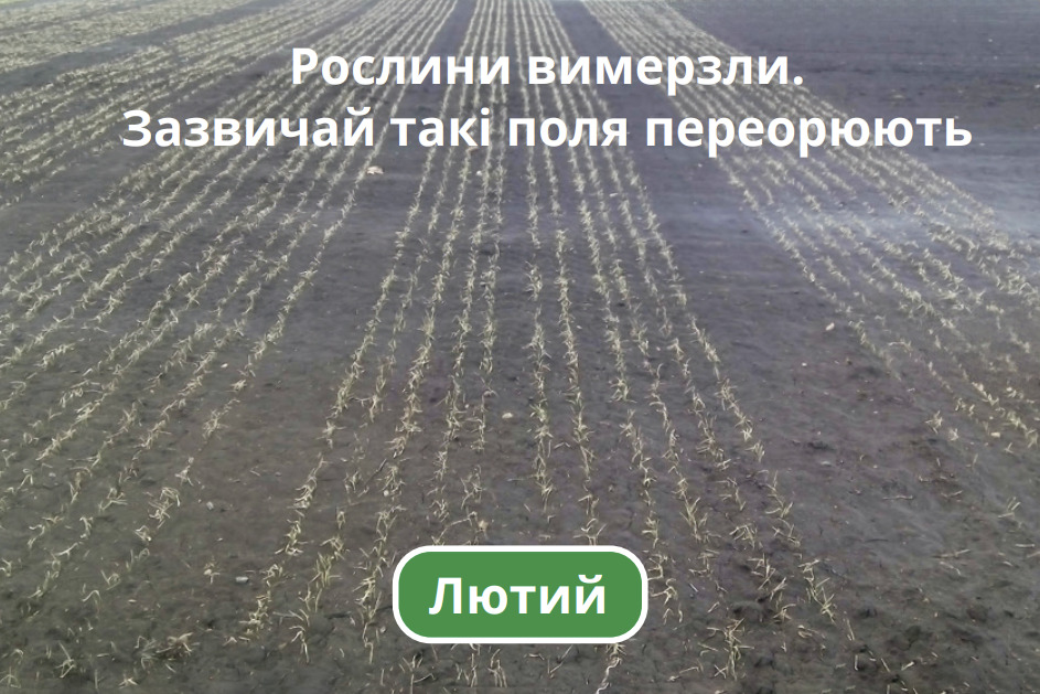 Лютий